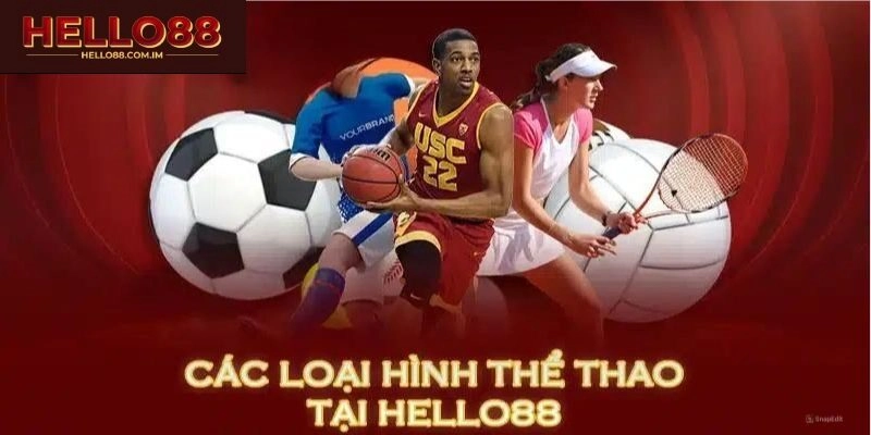 Tham gia cá cược thể thao một cách dễ dàng